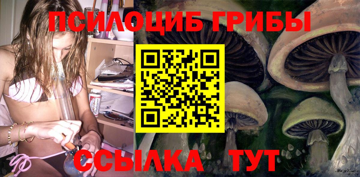Псилоцибиновые грибы GOLDEN TEACHER Кандалакша
